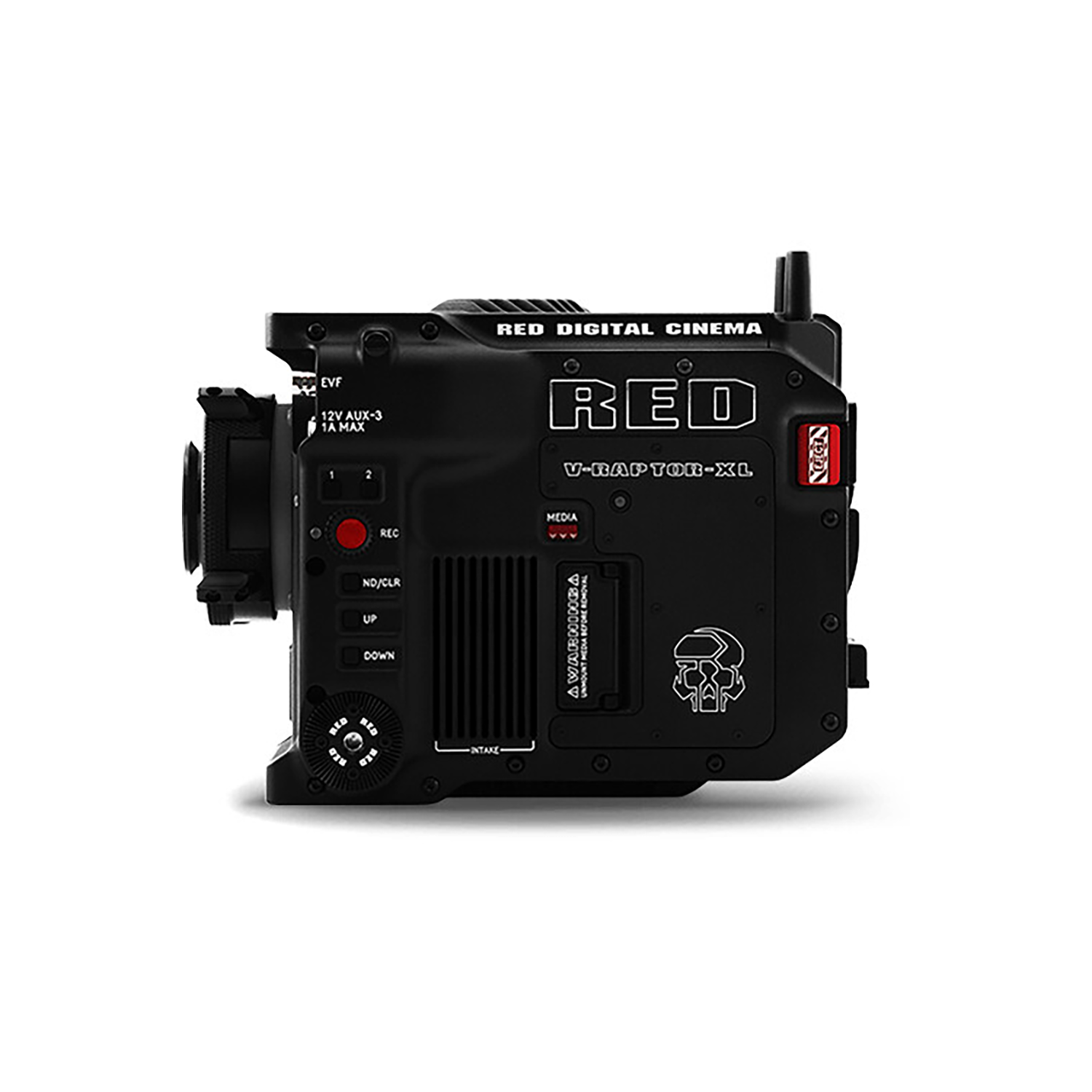 RED Digital Cinema V-Raptor XL 8K VV + 6K S35 Sensor Camera - Gold Mount