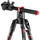 MANFROTTO MKBFRC4GTXP-BH BEFREE GT XPRO Voyage en fibre de carbone trépied avec 496 tête de balle centrale