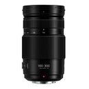 Panasonic Lumix G Vario 100-300mm f/4-5.6 II POWER O.I.S. Lens