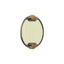 Polarpro Recon Stage 2 Goldmorphic