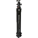 Manfrotto MK290DUA3-BH 290 Dual Aluminum Tripod with Ball Head Kit