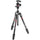 Befree GT Carbon Fiber 4-Section Kit Black W/ Twist Locks & Mh496-Bh Ball Head