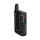 Sennheiser AVX-MKE2 Set Digital caméra- Système de microphone omni lavalier sans fil (1,9 GHz) (1,9 GHz)