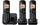 Panasonic KXTGC213B