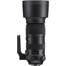 Sigma 60-600 mm f / 4.5-6.3 DG OS HSM Sport Lens pour Nikon