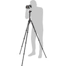Manfrotto Befree GT XPRO Voyage en aluminium trépied avec 496 tête de balle centrale