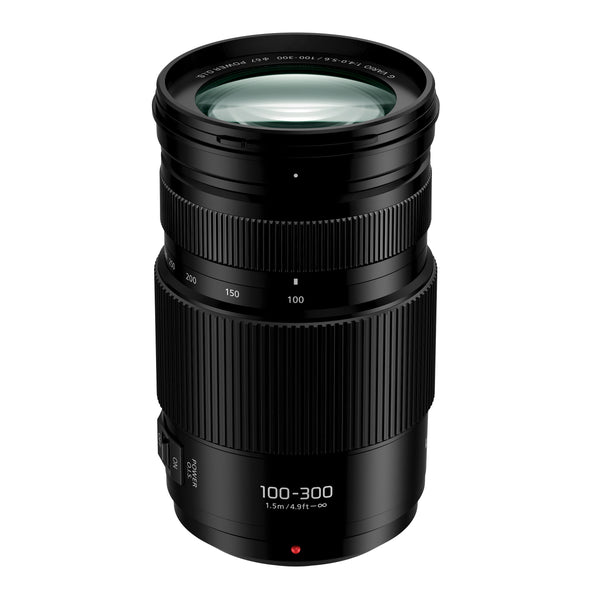 Panasonic Lumix G Vario 100-300mm f/4-5.6 II Lens | ExcellentPhoto.ca