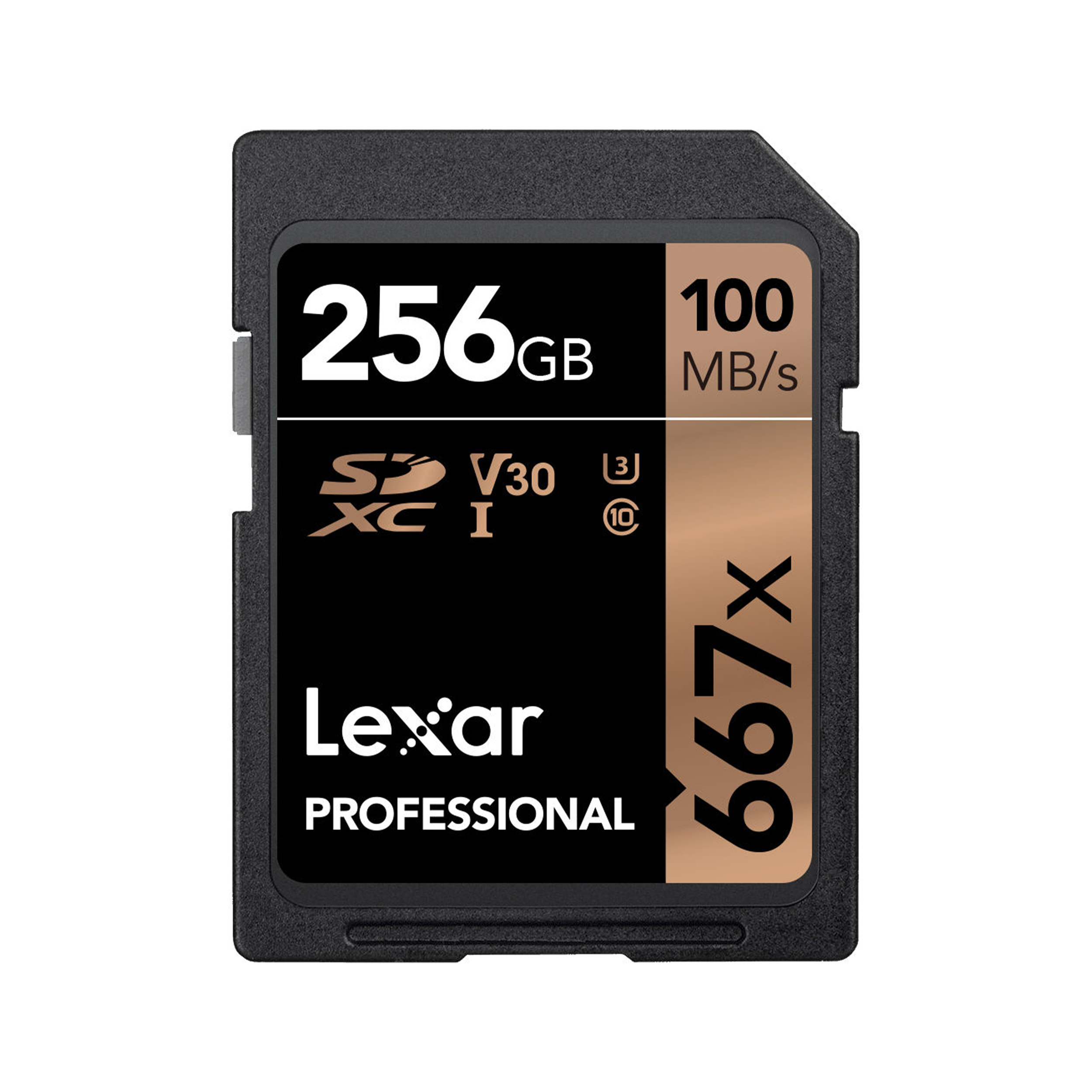Lexar 256 Go Professional 667x UHS-I SDXC Memory Carte