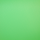 Contexte sauvage en vinyle solide - 8 x 10 'vert chroma