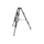 Sachtler PTZ HD trépied Système avec trépied Dolly (charge utile de 55 lb)
