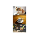 7artisans Photoelectric 25mm f/1.8 Lens for Sony E Mount