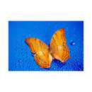 7artisans Photoelectric 60mm f/2.8 Macro Mark II for Sony E Mount