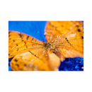 7artisans Photoelectric 60mm f/2.8 Macro Mark II for Sony E Mount