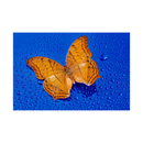 7artisans Photoelectric 60mm f/2.8 Macro Mark II for Sony E Mount