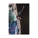 7artisans Photoelectric 60mm f/2.8 Macro Mark II for Sony E Mount