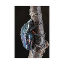 7artisans Photoelectric 60mm f/2.8 Macro Mark II for Sony E Mount