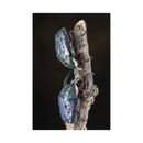 7artisans Photoelectric 60mm f/2.8 Macro Mark II for Sony E Mount