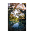 7artisans photoélectrique 7,5 mm f / 2,8 II Lens Fisheye pour le support de Sony E