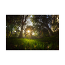 7artisans photoélectrique 7,5 mm f / 2,8 II Lens Fisheye pour le support de Sony E