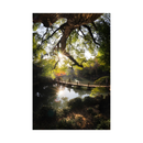 7artisans photoélectrique 7,5 mm f / 2,8 II Lens Fisheye pour le support de Sony E