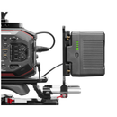 SHAPE Gold Mount Plate with D-Tap