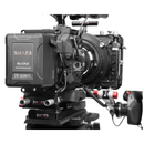 SHAPE Gold Mount Plate with D-Tap