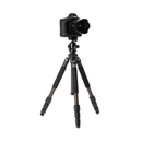 Benro CLT204 2-Series Induro Classic Carbon Fiber Tripod