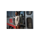 Peak Design Travel Backpack 30L