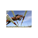 Canon EOS R6 Mark II Mirrorless Camera with 24-105mm Lens