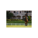 Canon EOS R6 Mark II Mirrorless Camera with 24-105mm Lens