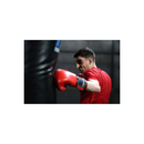 Canon EOS R6 Mark II Mirrorless Camera with 24-105mm Lens