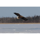 Canon EOS R7 sans miroir caméra