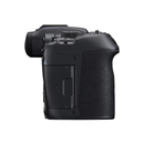 Canon EOS R7 sans miroir caméra