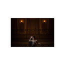 Canon RF 135mm f/1.8 L IS USM Lens