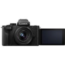 Panasonic Lumix G100 Mirrorless Camera