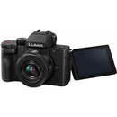 Panasonic Lumix G100 Mirrorless Camera