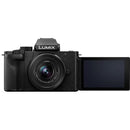 Panasonic Lumix G100 Mirrorless Camera