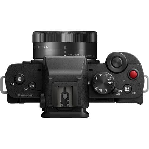 Panasonic Lumix G100 Mirrorless Camera