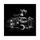 SHAPE Adaptateur EVF Fovetail pour Canon / Sony Standard