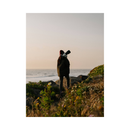 Fujifilm X-H2S Mirrorless Camera