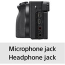 Sony a6600 Mirrorless Camera