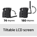 Sony a6600 Mirrorless Camera