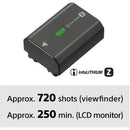 Sony a6600 Mirrorless Camera