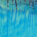 Sigma 90mm f/2.8 DG DN Contemporary for L Mount