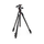 MK055CXPRO33WQR