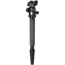Manfrotto Element Tripod Kit with Ball Head