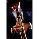 Nikon NIKKOR Z DX 16-50mm f/3.5-6.3 VR Lens - Silver