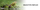 Langify_image_container