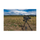 SONY PXW-FX9 XDCAM 6K Full-Frame caméra Système - Boîtier Seulement
