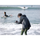 Panasonic Leica DG Summilux 9 mm f / 1,7 asph. Lentille